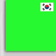 Пленка PROFI FLEX PREMIUM (DMPU-24) Neon Green, 1м